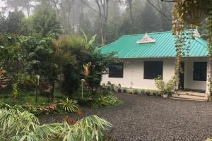 Mist in Nest Munnar